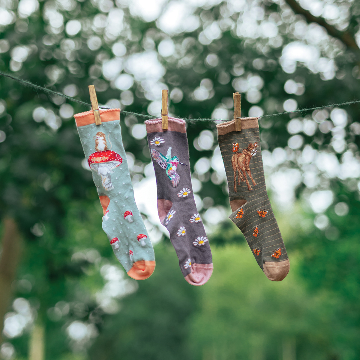 Thumbnail image for Accessories
