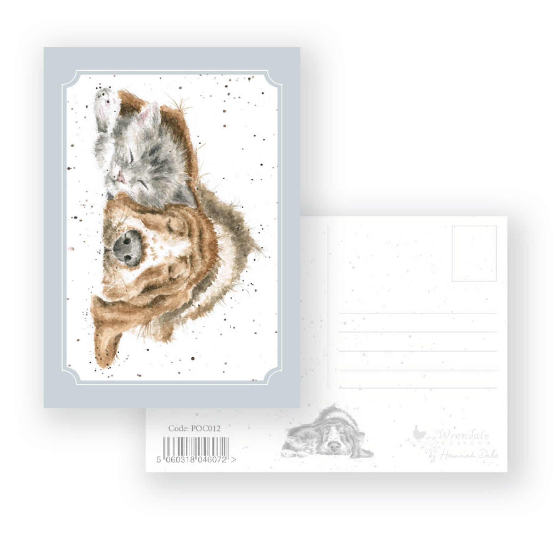 POC012 'Dog-and-Catnap' Postcard