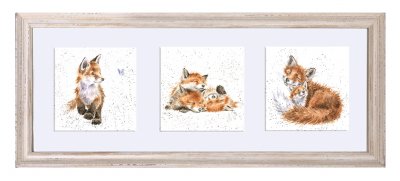A Trio of Fox Cubs