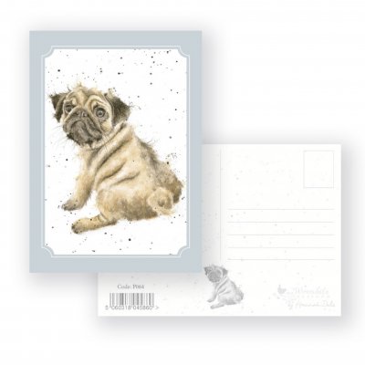 P064 'Pug Love' Postcard