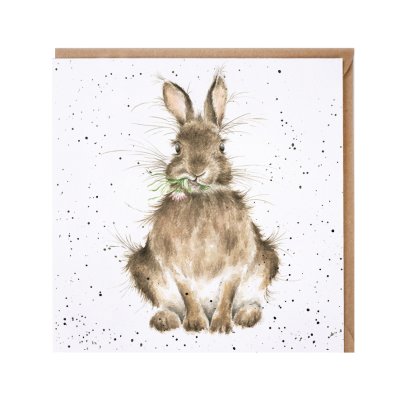 'Daisy rabbit card