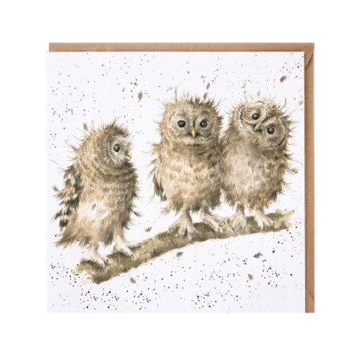 'You First!' owl card