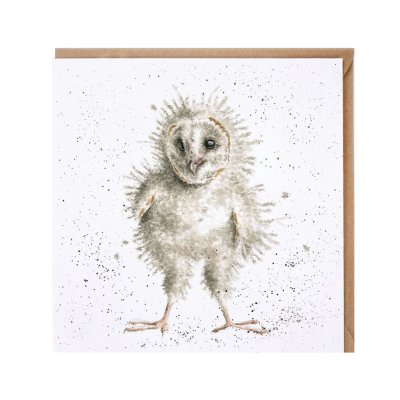 'Ready to Fly' owl card