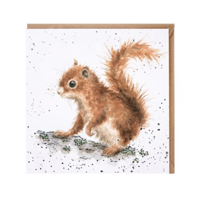 'Acorns' squirrel card