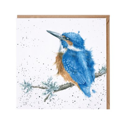 'King of the River' kingfisher card