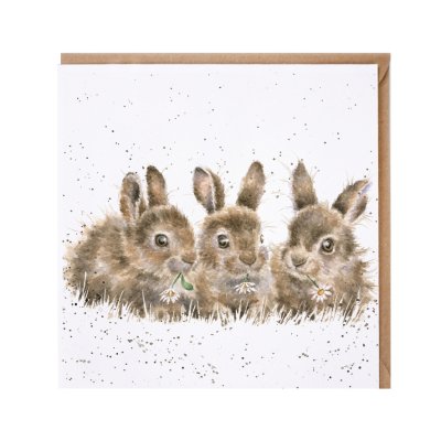 'Daisy Chain' rabbit card