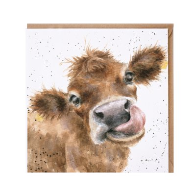 'Mooo' cow card
