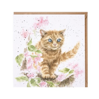 'The Marmalade Cat' card