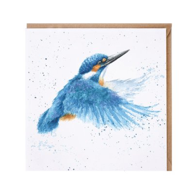'Make a Splash' kingfisher card