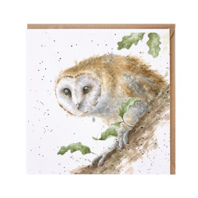 'Moonlight' owl card