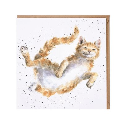 'The Cat Nap' cat card