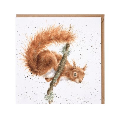 'The Acrobat' squirrel card