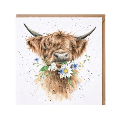 'Daisy Coo' Highland cow card