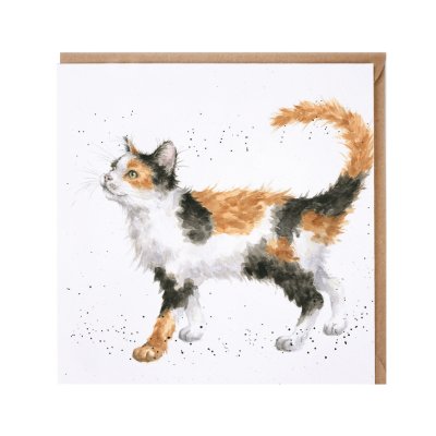'Calico Cat' cat card