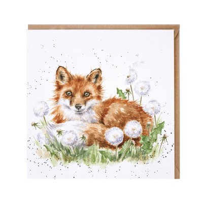 'The Dandy Fox' fox ard
