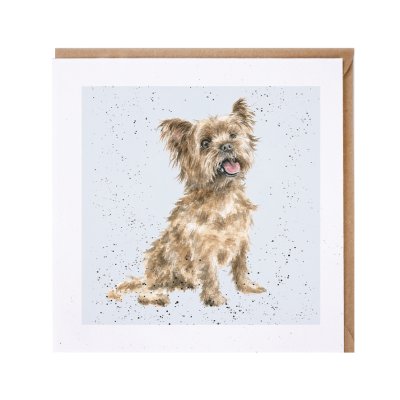 Yorkshire Terrier dog greeting card