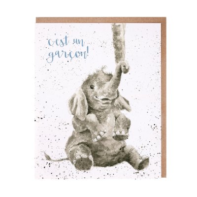 Elephant French new baby card