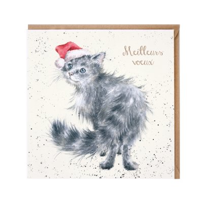 Grey fluffy cat in a Santa hat French Christmas card