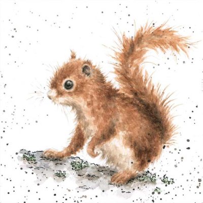 'Acorns' squirrel artwork print