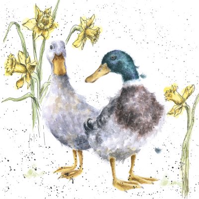 'Ducks and Daffs' duck and daffodils artwork print