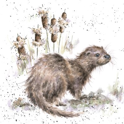 'The Riverbank' otter artwork print