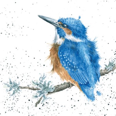 'King of the River' kingfisher artwork print