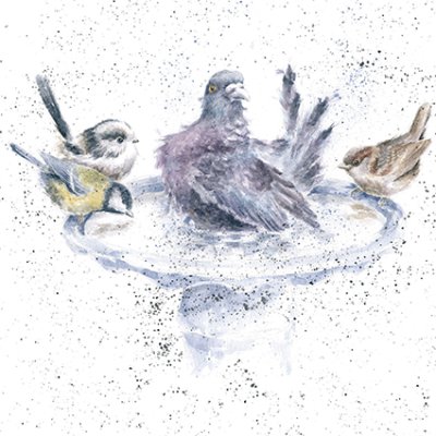 'Is it Our Turn Yet?' bird bath artwork print