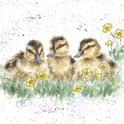'Buttercup' duckling artwork print