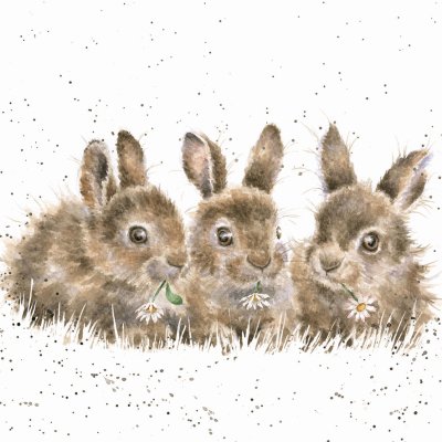 'Daisy Chain' rabbit artwork print