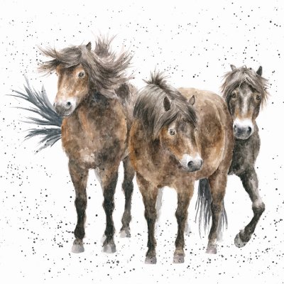 'Three Amigos' horse artwork print