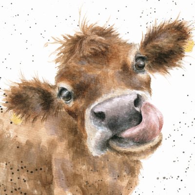 'Mooo' cow with it's tongue sticking out artwork print
