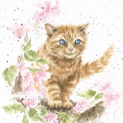 'The Marmalade Cat' cat artwork print