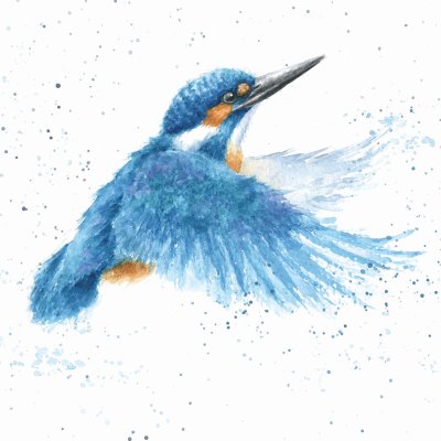 'Make a Splash' kingfisher artwork print