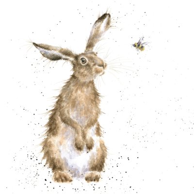 'The Hare and the Bee' hare artwork print