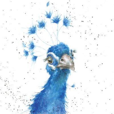 'The Poser' peacock artwork print