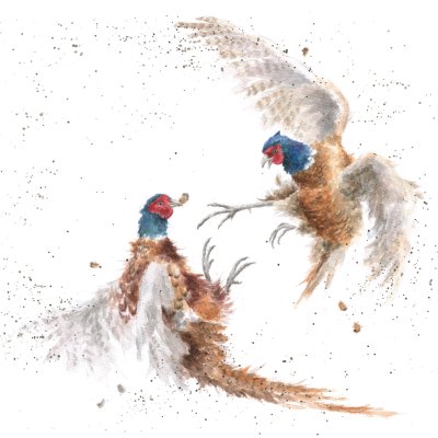 'The Winner Take it All' pheasant artwork print