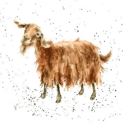 'The Hipster' goat artwork print