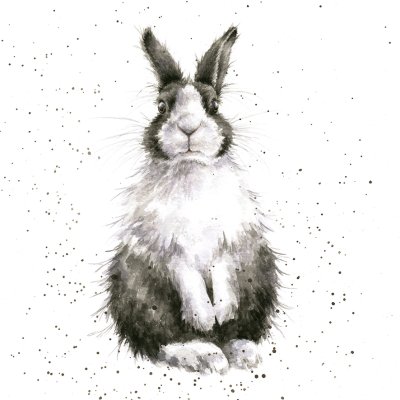 'Hop It! rabbit artwork print