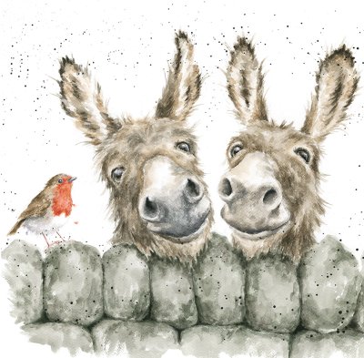 'Hee Haw' donkey and robin artwork print