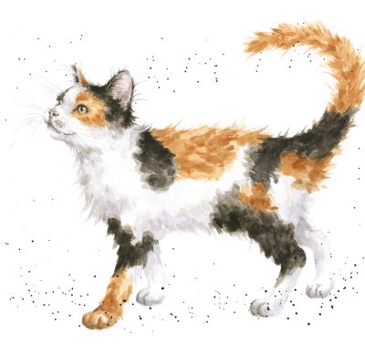'Calico Cat' cat artwork print