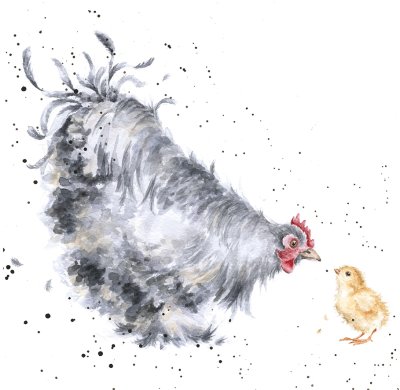 'Mother Hen' Hen and chick artwork print