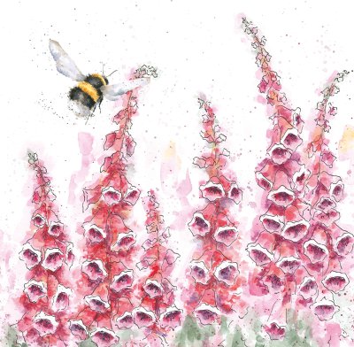 'A Cottage Garden' bee and foxglove artwork print