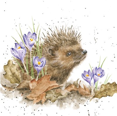 'New Beginnings' hedgehog and crocus artwork print