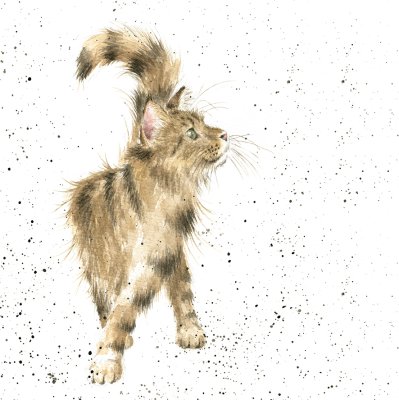 'Just Purrrfect' cat artwork print