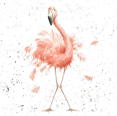 'Pretty in Pink' flamingo artwork print