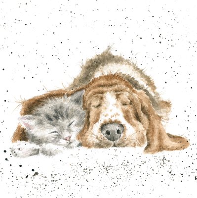 'Dog and Catnap' Basset Hound and kitten artwork print