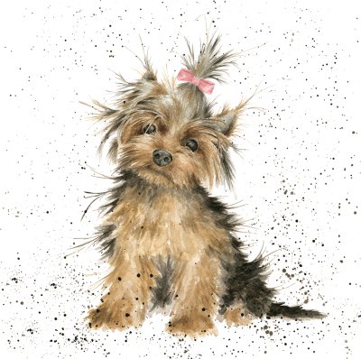 'Princess' Yorkshire terrier artwork print