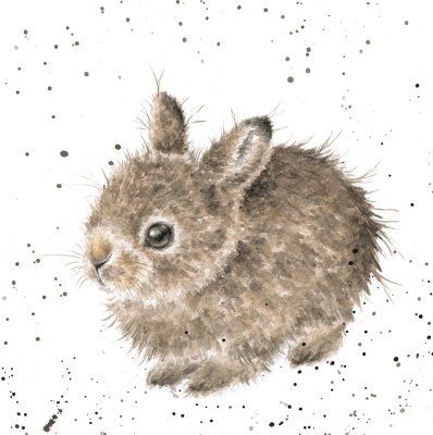 'Little Leveret' hare artwork print