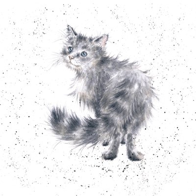 'Glamour Pus' cat artwork print
