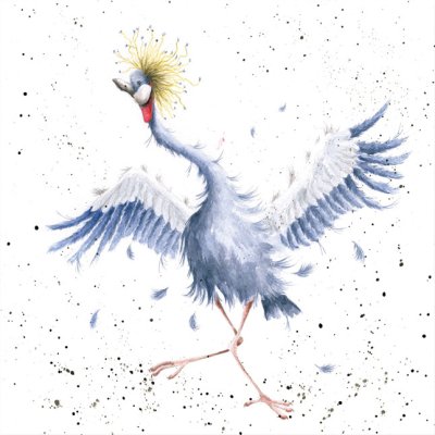 'Dancing Queen' crane artwork print